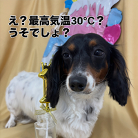 画像2849