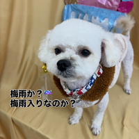 画像2858