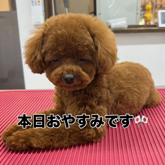 画像2870