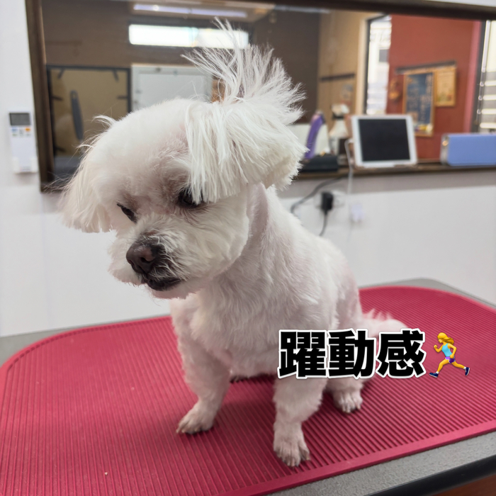 画像2875