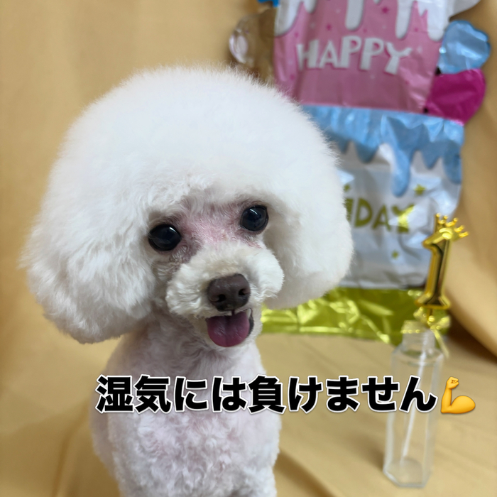 画像2880