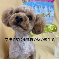 画像2885