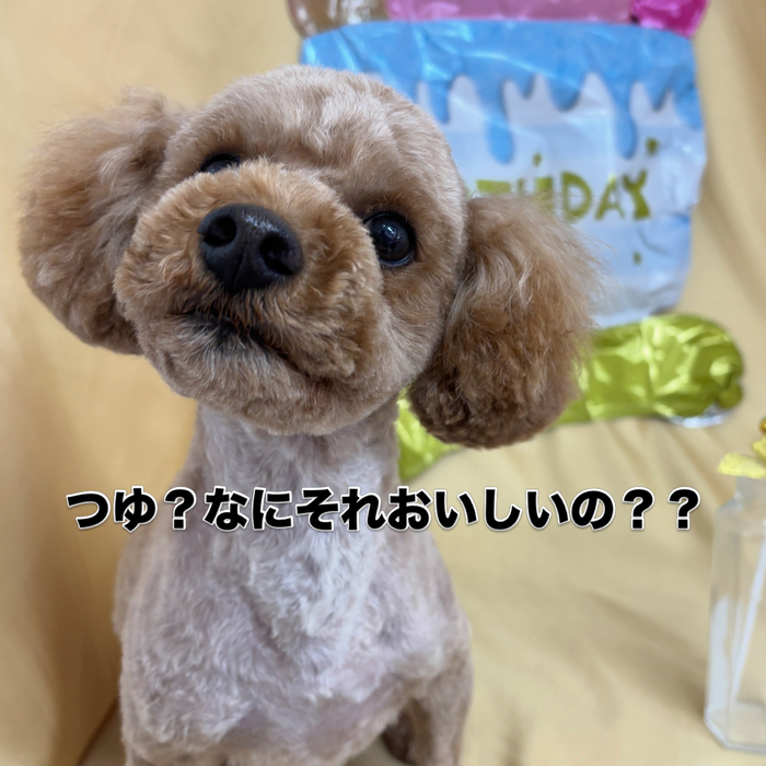 画像2885
