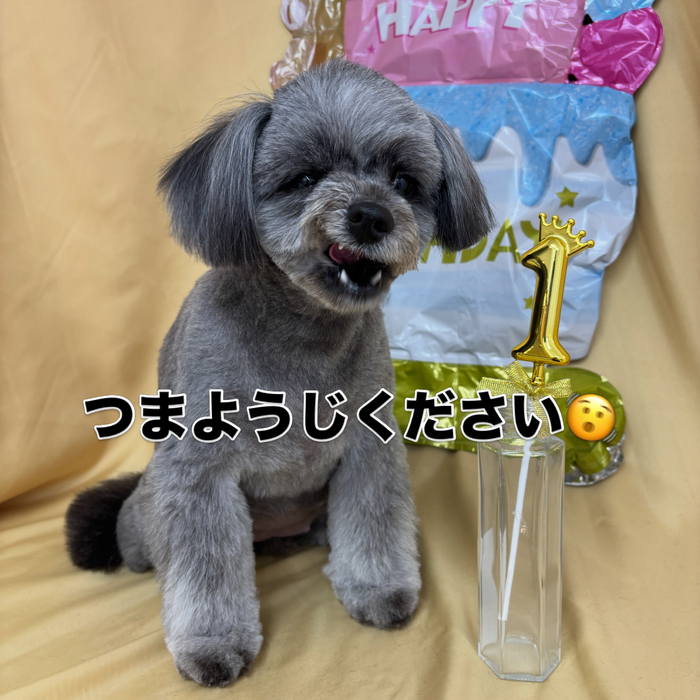 画像2890