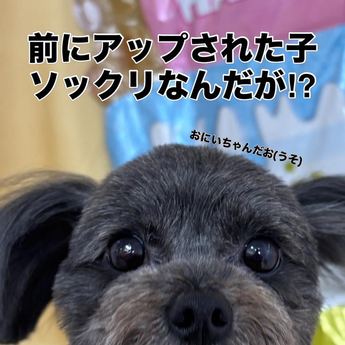 画像2896