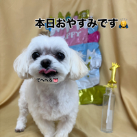 画像2901