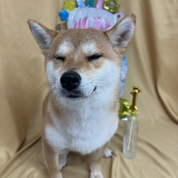 画像2909