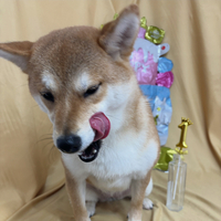 画像2910