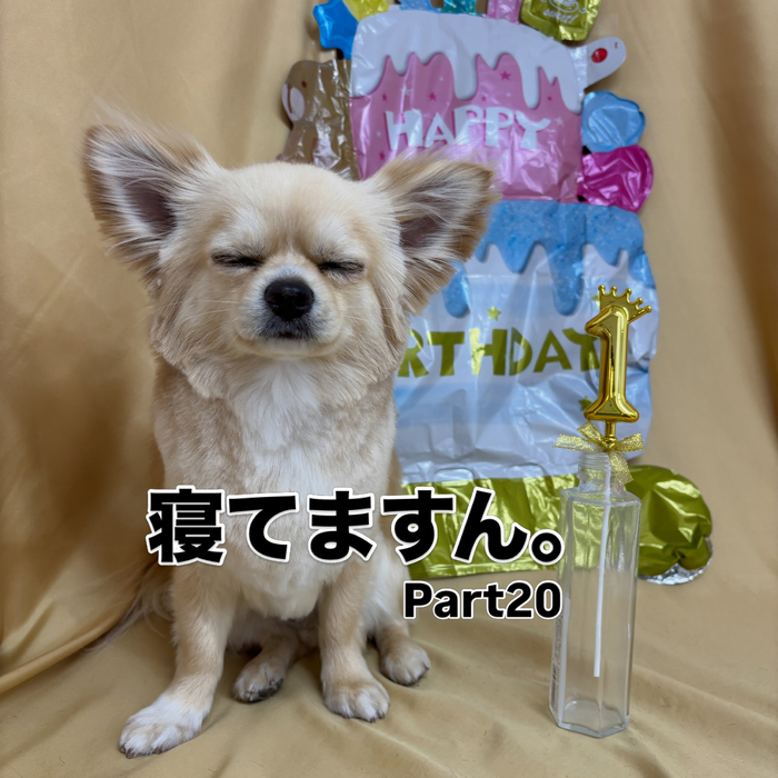 画像2915