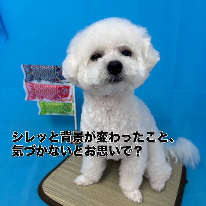 画像2925