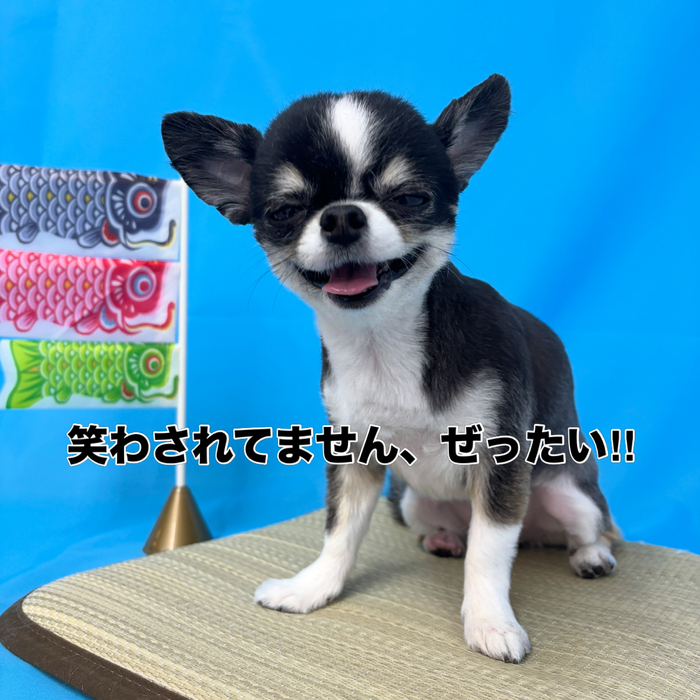 画像2931