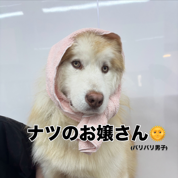画像2943