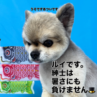 画像2948