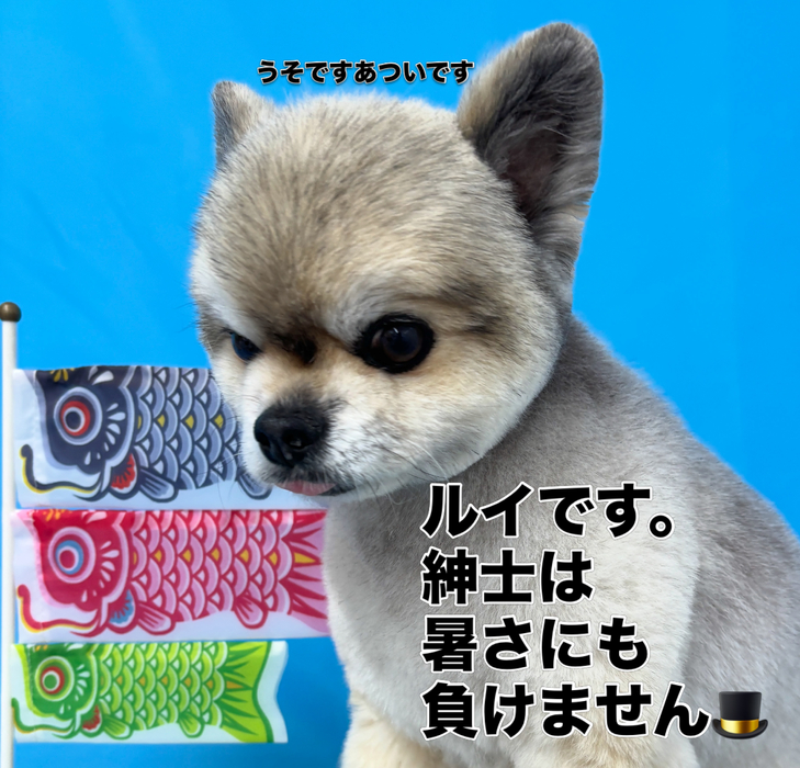 画像2948