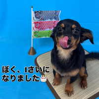 画像2959