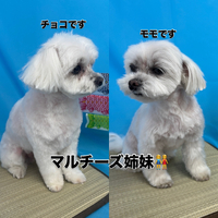 画像2972