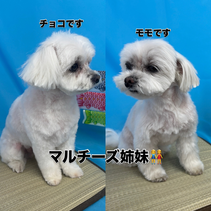 画像2972