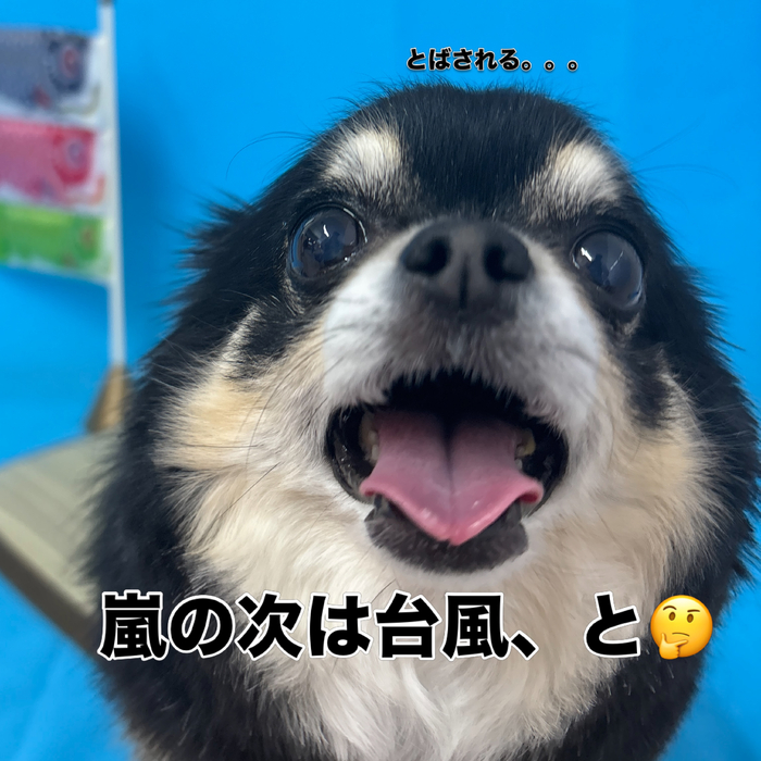 画像2980