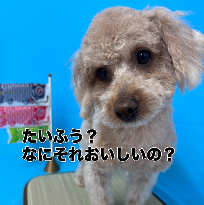 画像2992