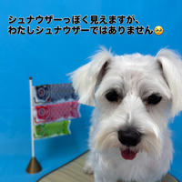 画像2998