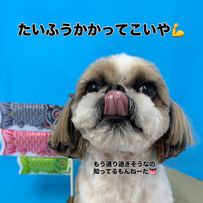 画像3004