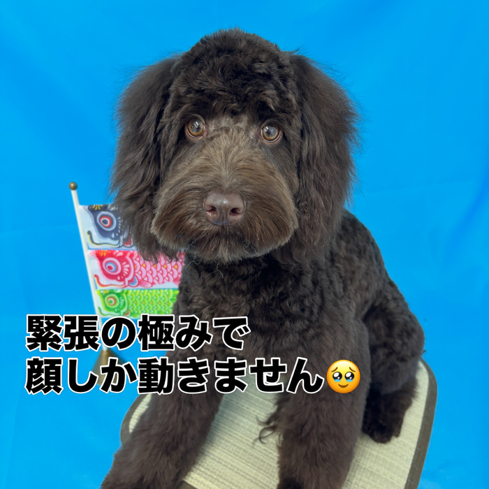 画像3010