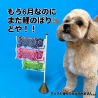 画像3016
