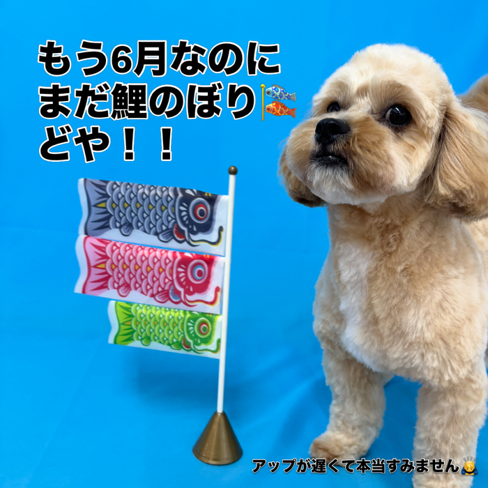 画像3016