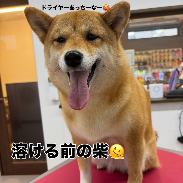 画像3022