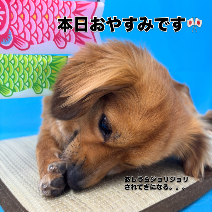 画像3028