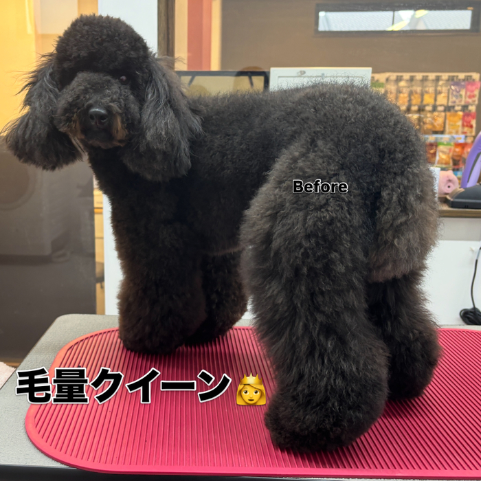 画像3034
