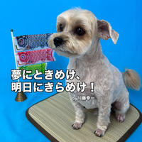 画像3054