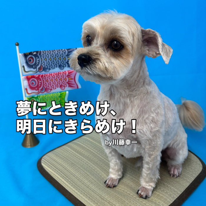 画像3054