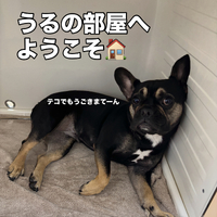 画像3059