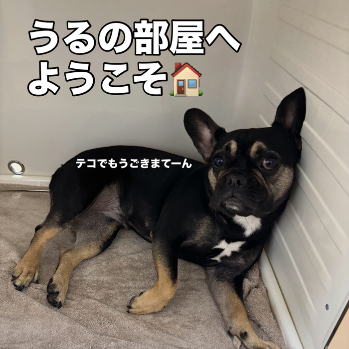 画像3059