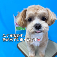画像3066