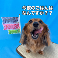 画像3073