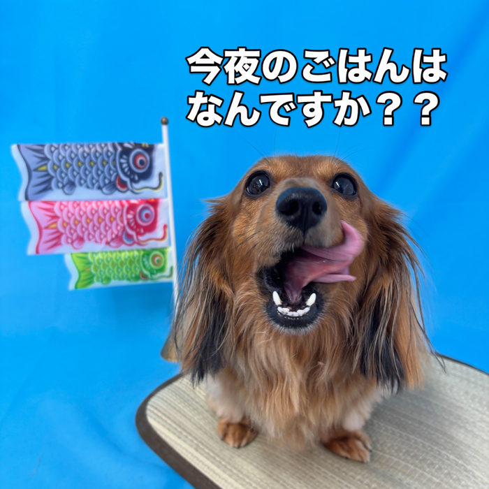 画像3073