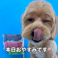 画像3079