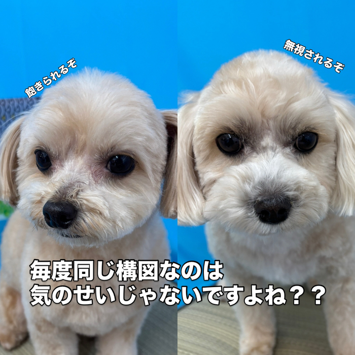 画像3087