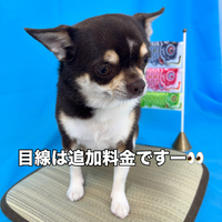 画像3095