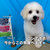 画像3101