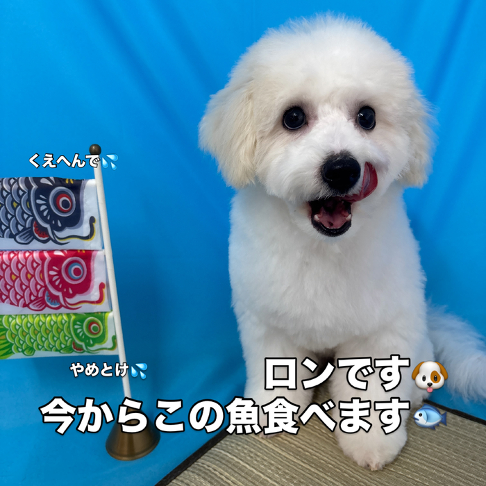 画像3101