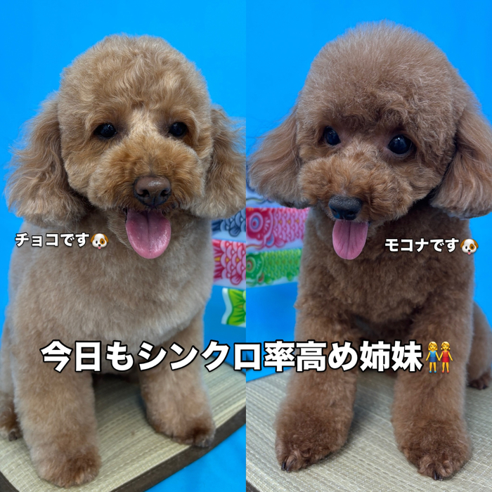画像3108