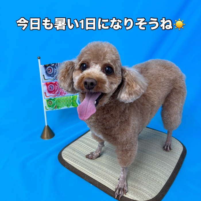 画像3116