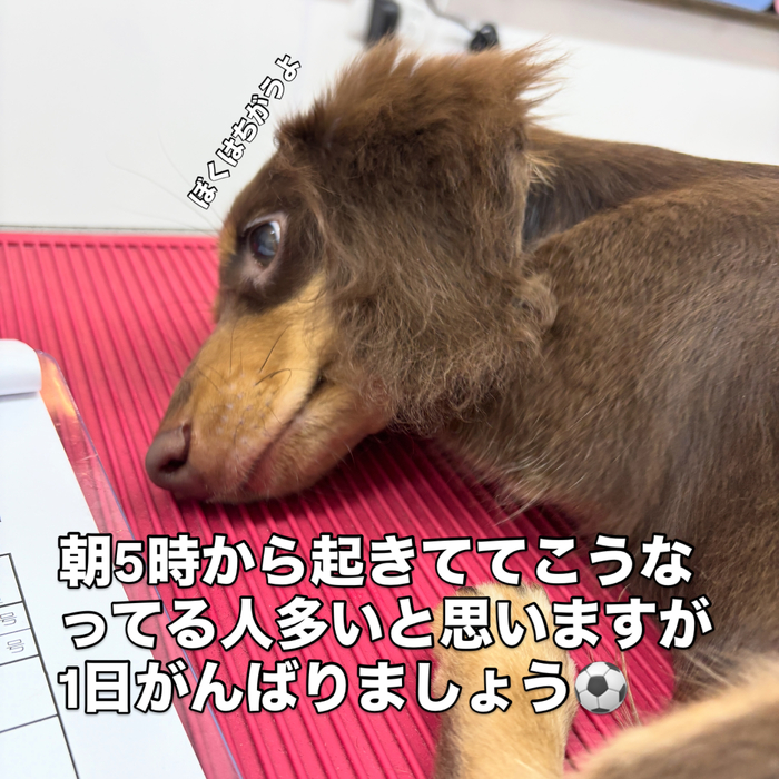 画像3127