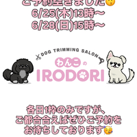 画像3134
