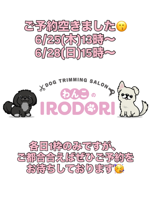 画像3134