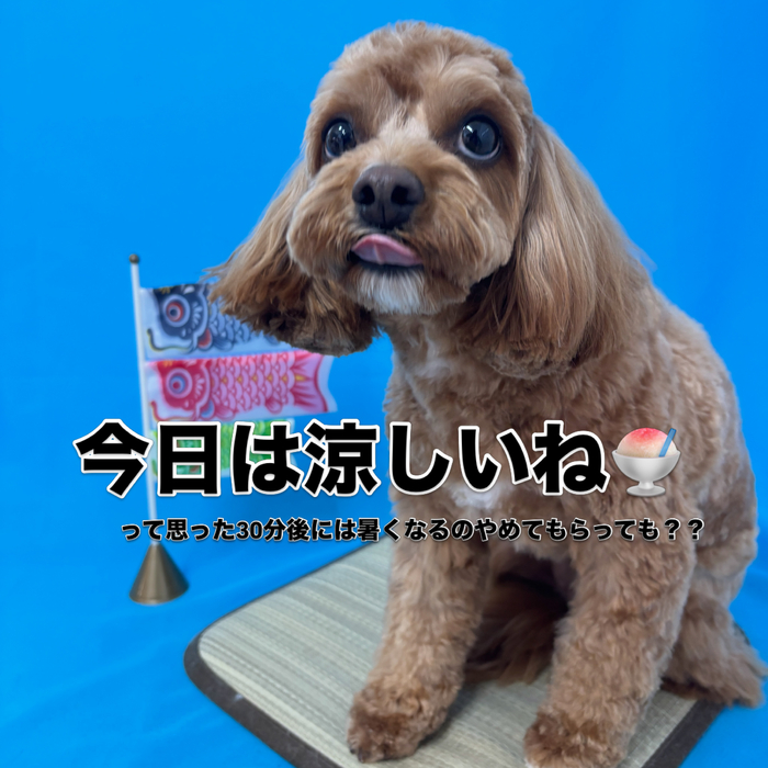 画像3138