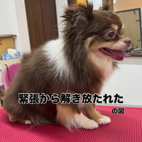 画像3144